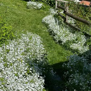  Appartement Huguette 18m2 France